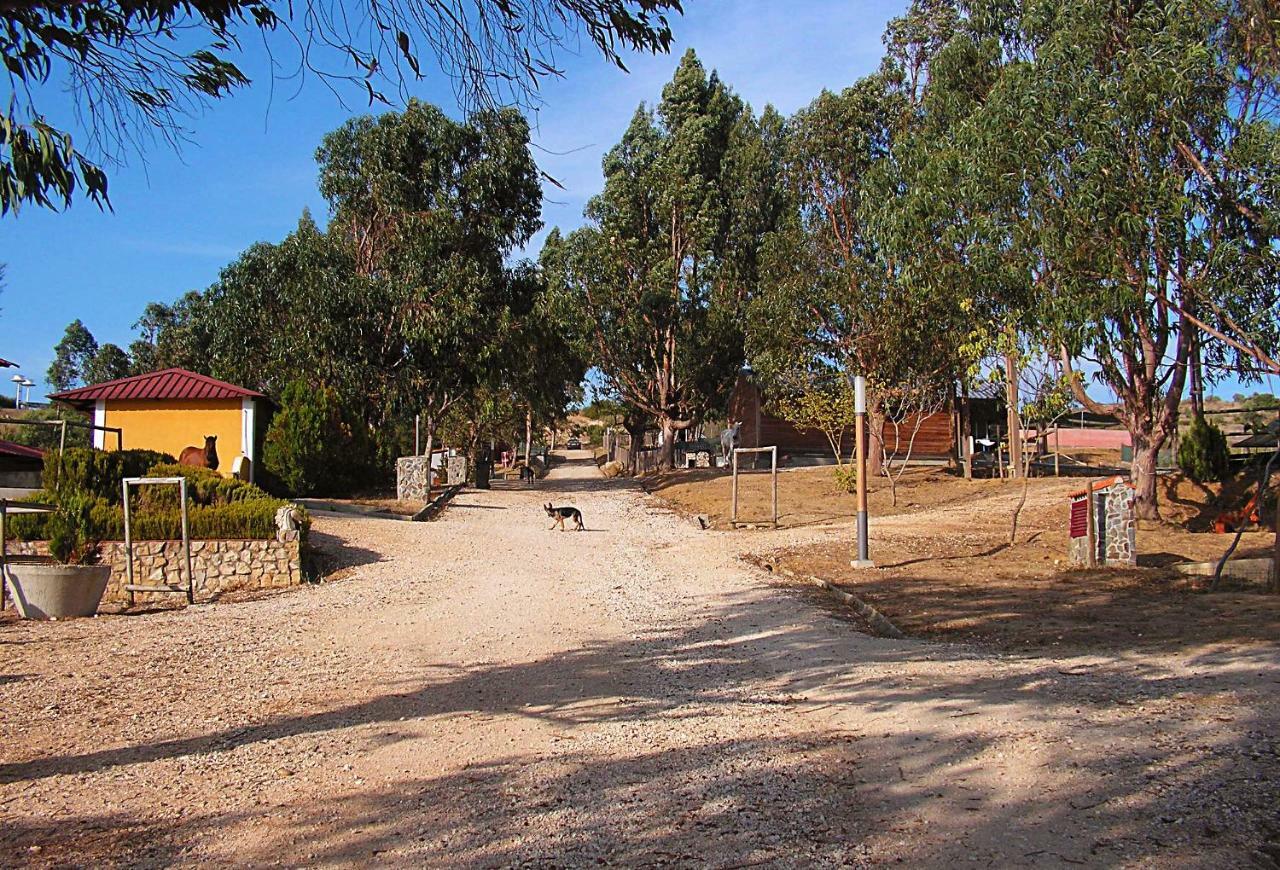 Herdade Da Hera Azambuja Dış mekan fotoğraf