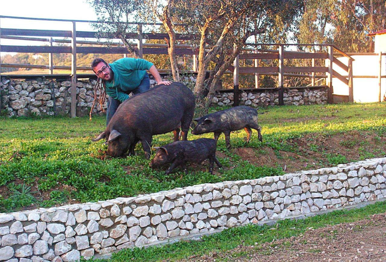 Herdade Da Hera Azambuja Dış mekan fotoğraf