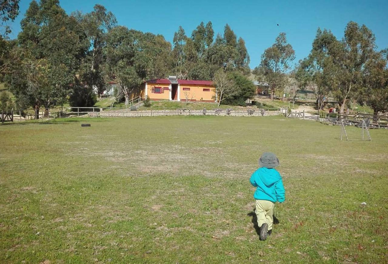 Herdade Da Hera Azambuja Dış mekan fotoğraf